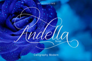 Andella Script Font: Elevate Digital Campaigns