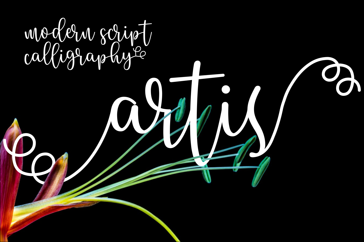 Artis Font: Elevating Editorial Design with Flow