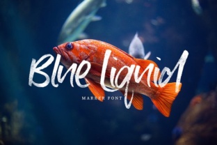 Blue Liquid Font: A Designer’s Review for Campaigns
