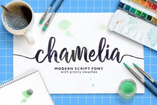 Chamelia Font Review: A Handwritten Typeface for Campaigns