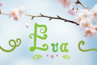 Eva Script Font: Playful Type for Campaign Visuals