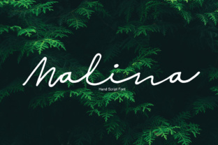 Malina Font: Elevating Small Business Branding