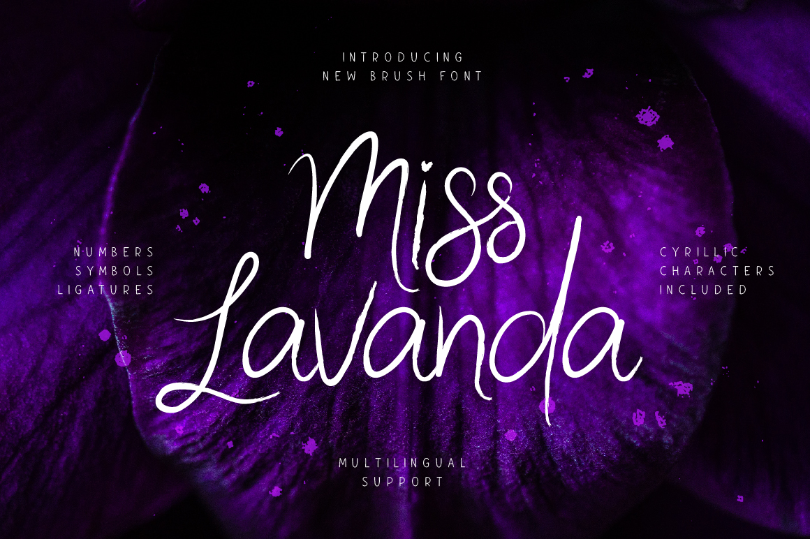 Miss Lavanda Font: A Brush Script for Organic Branding