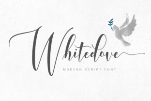 Whitedove Script Font: An Editorial Design Review
